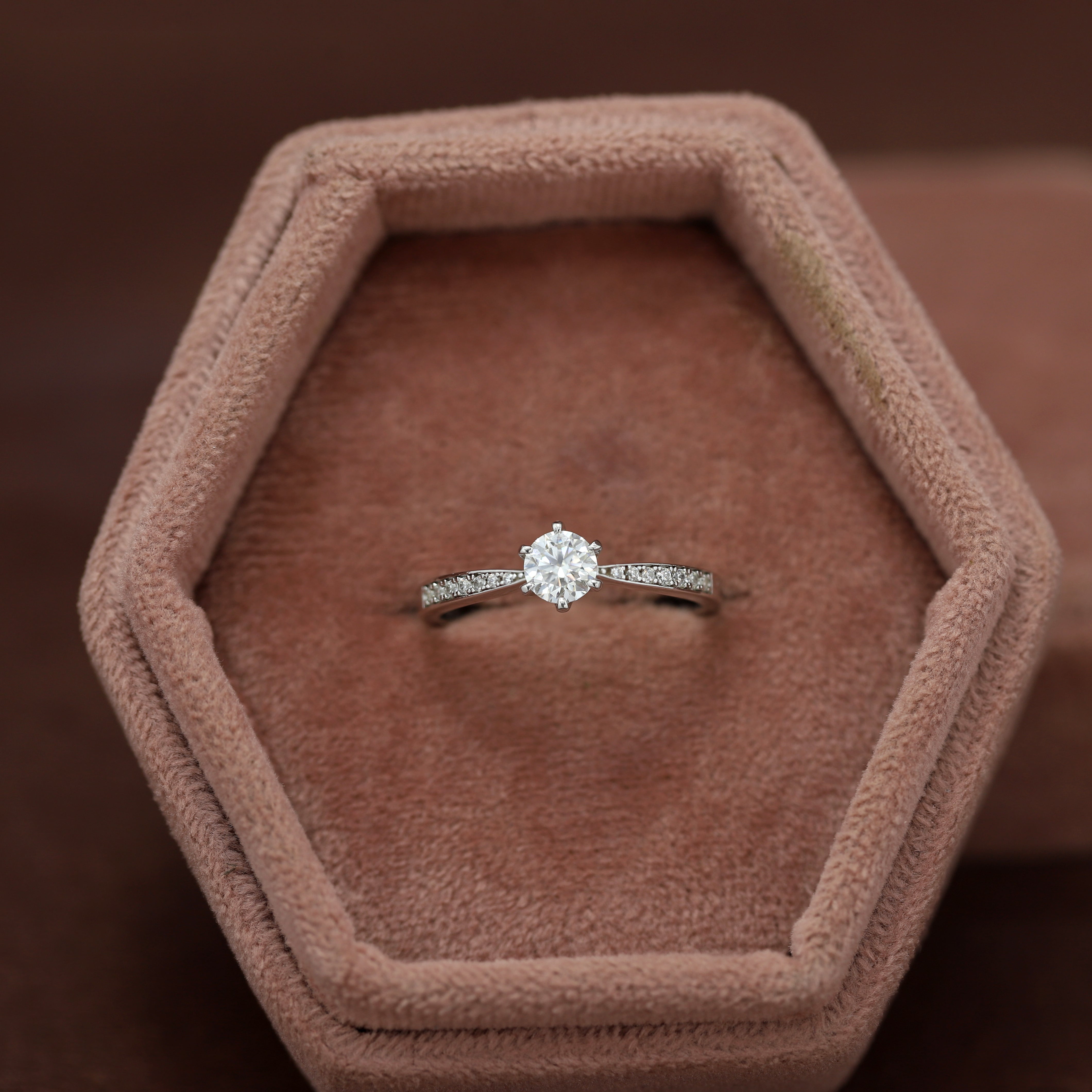 The Diamond of Forever – White Gold Ring with Round Diamond